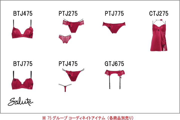 サルート ワコール 13グループ 13G セットアップ ML