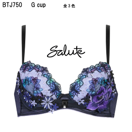 サルート50グループPアップブラC70ネイビーソングM＋ノーマルM サルート50グループPアップブラC70ネイビーソングM＋ノーマルM