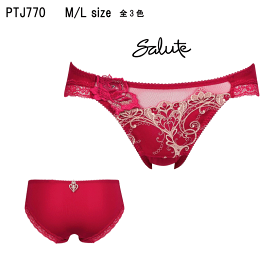 サルート 80グループ E70 M サルート 80グループ E70 M