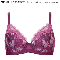 楽天市場】ワコール小さく見せるブラ g75の通販