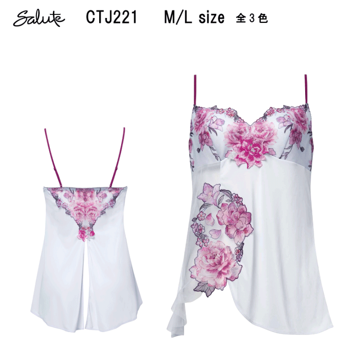 楽天市場】22％OFF【送料無料】ワコール サルート＜21グループ