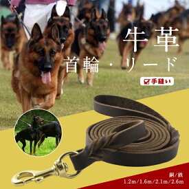 【送料無料】犬 リード 革 レザー ドッグ 本革 牛革 大型犬 中型犬 犬用散歩リード 高品質 柔らかい 丈夫 ブルハイドレザー 金具 ヒモ 紐 革紐 皮紐 鉄 銅 耐久性 かっこいい ソフト 高級感 ドイツ・シェパード ペット トレーニング 訓練用 絡まりにくい 犬のリードワイヤー