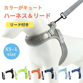 犬 ハーネス リード付き かわいい おしゃれ ソフトハーネス パピー 用 ハーネス 犬ハーネスリードセット 首輪 胴輪 小型犬 中型犬 型犬 パピー 子犬 リード チワワ トイプードル カラフルハーネスリードセット 安全 安心 お散歩 サイズ調整 着脱簡単 通気性