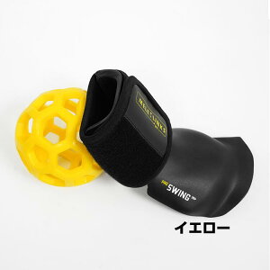 �S���t�A�[���␳ �S���t ���X�g���e�[�i�[ �S���t�X�C���O�g���[�i�[ ���p�������� �S���t���K��� ���K�⏕�� ���K�p�S���t�{�[�� �S���t���g���[�j���O�⏕�� �C�G���[ �I�����W 