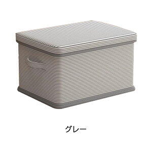 BOX [{bNX ߗރP[X ReiP[X ӂt ֗ 傫 dȂ  ՂgȒP Rei N[bg ۊǃ{bNX [P[X e  z  ߑւ ς