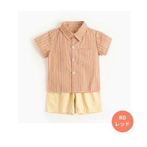 j̎q ZbgAbv xr[ q TVc+V[gpc `FbN X^C 100  LbY JWA ㉺ZbgAbv  Vv V  C