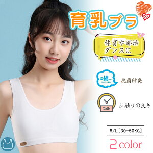 LbY mC[ iCgu  uW[ u WjA Z w Jbvt X|[c p oXgAbv  w ObY t  H ~     C