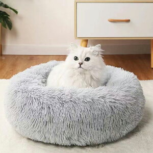 p Lp ObY xbh \ _炩 ӂӂ S L ϋv ϖ ۉ ~` fUC }Jxbh 킢  ~ O[ lCr[ sN H ~  XEF