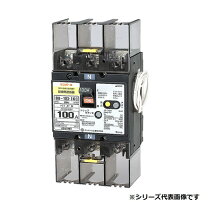 楽天市場】中性線欠相保護付 75aの通販