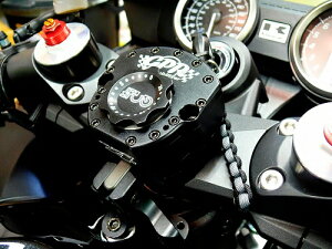 ZX-14R 06-11yGPR STABILIZERziGPRjXeO_p[