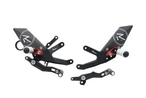 S1000RR / HP4 15-18 S1000R 17-20 �yLIGHTECH�z�i���C�e�b�N�j �o�b�N�X�e�b�v �X�e�b�v R VERSION