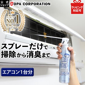 【最大8％OFFクーポン】 エアコンクリーナーAG 徹底洗浄 消臭プラス 単品 1本 2本セット エアコン 洗浄剤 エアコン掃除 エアコンクリーナー エアコン洗浄スプレー カビ かび 黒かび エアコン洗浄 臭い くさい 簡単 防カビ 防かび さび防止 抗菌 消臭 電解水 大掃除 掃除