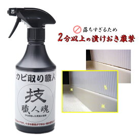 楽天市場 部屋 カビ取りの通販