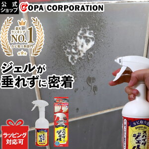 日用品 洗剤 カビ取り 防カビ剤の人気商品 通販 価格比較 価格 Com