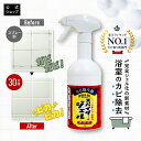 【コパ公式】スパイダージェル カビ取り剤 500ml カビ取り ジェル 黒カビ 目地 風呂 洗剤 ゴム パッキン ゴムパッキン カビ お風呂 スプレー 掃除 除去 風呂掃除 浴槽 部屋 カビ取りスプレー 赤カビ お風呂のカビ取り 床 湿気 対策 ピンクカビ