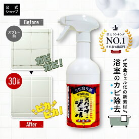 【最大8％OFFクーポン】スパイダージェル カビ取り剤 500ml カビ取り ジェル 黒カビ 目地 風呂 洗剤 ゴム パッキン ゴムパッキン カビ お風呂 スプレー 掃除 除去 風呂掃除 浴槽 部屋 カビ取りスプレー 赤カビ お風呂のカビ取り 床 湿気 対策 ピンクカビ