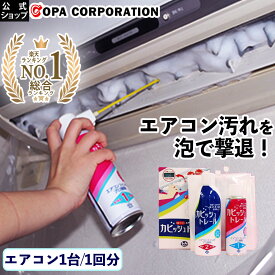 楽天市場 エアコン 掃除の通販