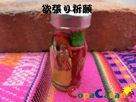 【いろいろな祈願】≪タリスマン≫エケコ人形用ミニチュア/小物/縁起物/幸運/開運/祈願/グッズ/福の神/スピリチュアル/パワースポット/願掛け