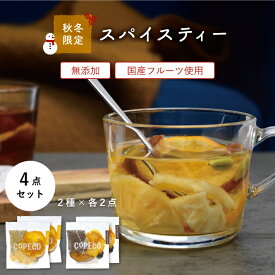 秋冬限定 フレーバー ドライフルーツティー スパイスティー 2種セット ドライフルーツ 無添加 砂糖不使用 ティーバッグ ハーブティー 紅茶 カルダモン クローブ COPECO コペコ