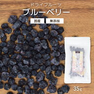 ドライフルーツ ブルーベリー 埼玉県産 35g | 国産 無添加 砂糖不使用 添加物不使用 オーガニック | 美容…