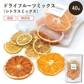 ドライフルーツ ミックス シトラス 40g みかん ブラッド オレンジ ライム 砂糖不使用 無添加 国産 COPECO コペコ