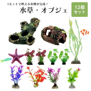 lH ANAE   CAEg Zbg vX`bN Mы _J x^ (Jt)