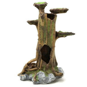  ঒ o B  VF^[ gJQ C  (uE, LTCY)