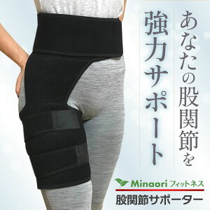 _ yV5 ̎tE ^ Ҋ֐߃T|[^[  xg Ҋ֐ X|[c jEp t[TCY MinaoritBbglX