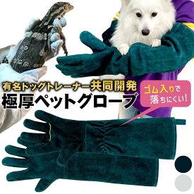 ＼ ドッグトレーナー共同開発 ／[ 和田工業 ] ペット グローブ 噛みつき 引っかき 犬 猫 セーフティグローブ ちょっと小さめ 牛革 厚手 保護 手袋 爬虫類 園芸 耐摩耗性 耐熱性 [有名ドッグトレーナー開発]
