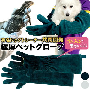 _ hbOg[i[J ^[ acH ] ybg O[u ݂   L Z[teBO[u Ə v  ی  ঒ | ϖՐ ϔM [LhbOg