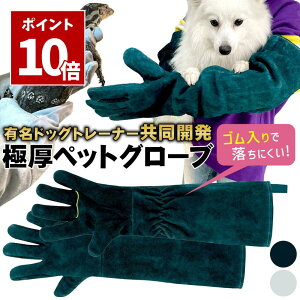 SSԒ Gg[P10{_ hbOg[i[J ^[ acH ] ybg O[u ݂   L Z[teBO[u Ə v  ی  ঒ | ϖ