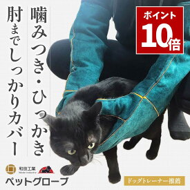 SS期間中 エントリーでP10倍＼ ドッグトレーナー推薦 ／ ペットグローブ 噛みつき 引っかき 噛みつき防止 犬 猫 セーフティグローブ 牛革 厚手 保護 手袋 爬虫類 園芸 肘 ロングサイズ 和田工業