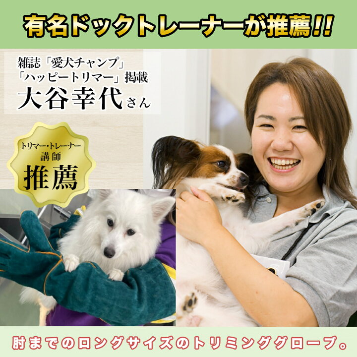 楽天市場 楽天1位 和田工業 ペット グローブ 噛みつき 引っかき 犬 猫 セーフティグローブ 牛革 厚手 保護 手袋 爬虫類 園芸 耐摩耗性 耐熱性 ロング 肘 有名ドッグトレーナー推薦 コペルスタイル R