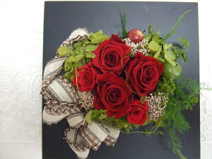 vU[uht[  Mtg Vzj j ސEj җj a Mtg AWMtg vU[ht[ o[Xf[v[g t[ {bNXAW ͂Ȃ