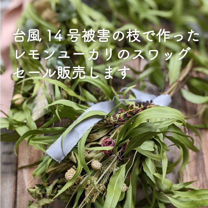 楽天市場 レモンユーカリのスワッグ 訳あり セール 数量限定 ドライフラワー ドライフラワースワッグ ユーカリ 花材 スワッグ材料 Coppe Craft Workshop