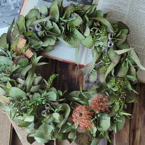 O[[X Z~I[_[Ch [Ȃ̂߂ɍO[[X]   F I[_[Ch hCt[[X v[g Mtg  lC Vzj JXj a h