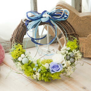�d���̔���݂����ȋ�F�̃t�F�A���[���[�X Jardin miniature de la fee bleu ciel