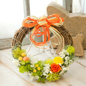 �d���̔���݂����ȃV�g���X�J���[�̃t�F�A���[���[�X Jardin miniature de la fee Tangerine