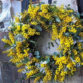 【週間ランキング一位受賞】ミモザ リース 玄関飾り 春 セミオーダーメイド [あなたのために作るミモザのリース] 玄関 黄色 オーダーメイド ドライフラワーリース プレゼント ギフト 女性 人気 新築祝い 開店祝い 誕生日 ドアー 飾り インテリア