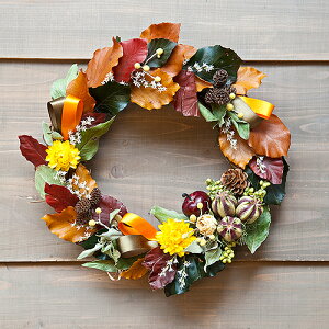 hCt[ [X  HF |bvȃhCt[ [X NUe[