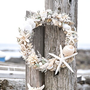 hCt[ [X y|ZCh̉z VF[X   T}[[X qgf Lk zCg[X