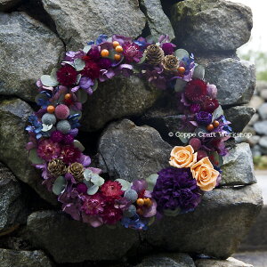 hCt[ [X IV  X^h t Mtg t[ ỹnEB[Xz Ǐ [X  nEB[X nEB vU[uht[ bsO v[