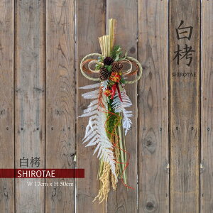 ߏ ߓ  [X N ֏萳  y} SHIROTAE z@     XbO AW CeA NNn Ε Mtg _  V