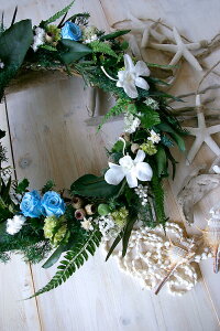 VF[X T}[[X  vU[uht[ hCt[ [X   L  ynCAC̃[Xz  CeA Ǌ| v[g Mtg  FB a