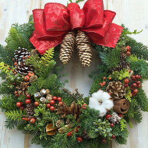 NX}X [X NX}X[X ~ Mtg tbV {Iׂ LTCY TCY35`40cm   k  v[g CeA fBXvC Vzj JXj J