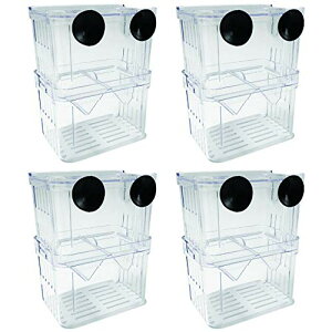 HAMILO  ɐBu{bNX  Mы Y u {bNX 4_Zbg