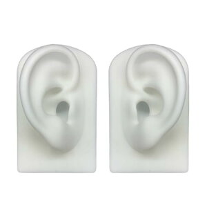 Felimoa ͌^ VR f ͌^ Kp ifBXvC EyAZbg