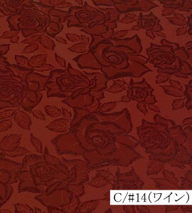 120088iS16FjyVFǉzo Te WK[h