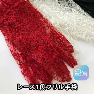 220146 ԕ bZ [X ܕt  I 2 Ă΂ tH[} Ӊ \ t  ߑ Xe[W p[eB[ hX Dress t[ O[u uC_ EFfB