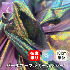 160420(全2色) パールオーガンジー生地 布 布地 ラメ ステージ衣装 衣装生地 コスチューム コスプレ衣装 ディズプレイ はり感 パール糸 オーガンジー 透け感 装飾 ドレス オーロラ